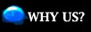 We're your web professionals